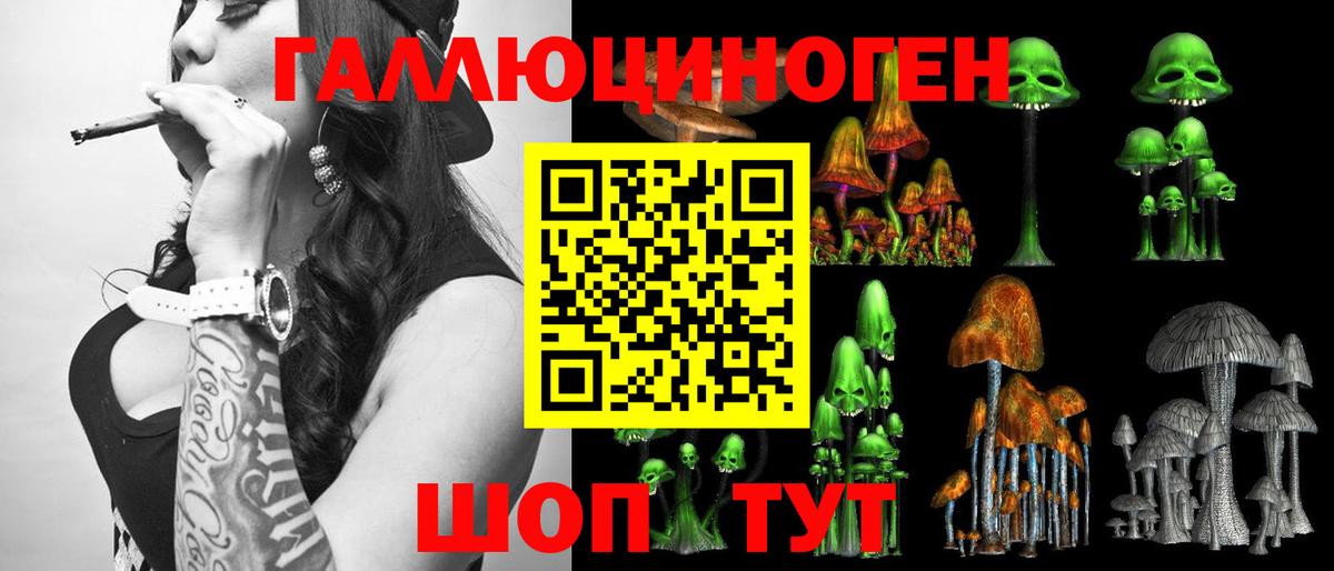 Армавир  Псилоцибиновые грибы прущие грибы  Вход с VPN 